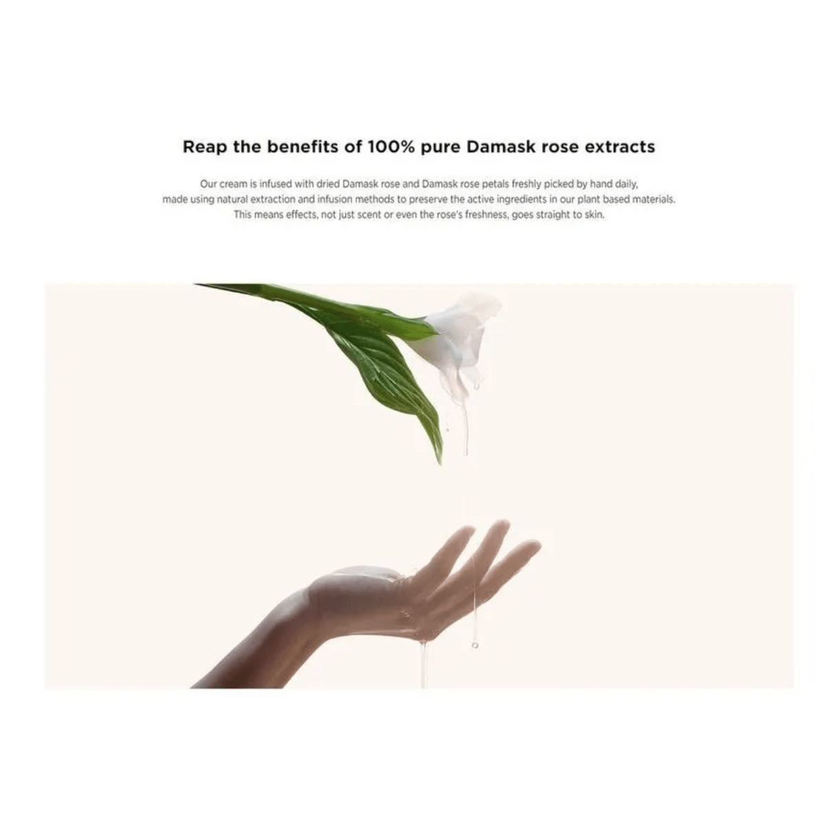 AROMATICA Cleansing Cream 145g AROMATICA Reviving Rose Infusion Cream Cleanser