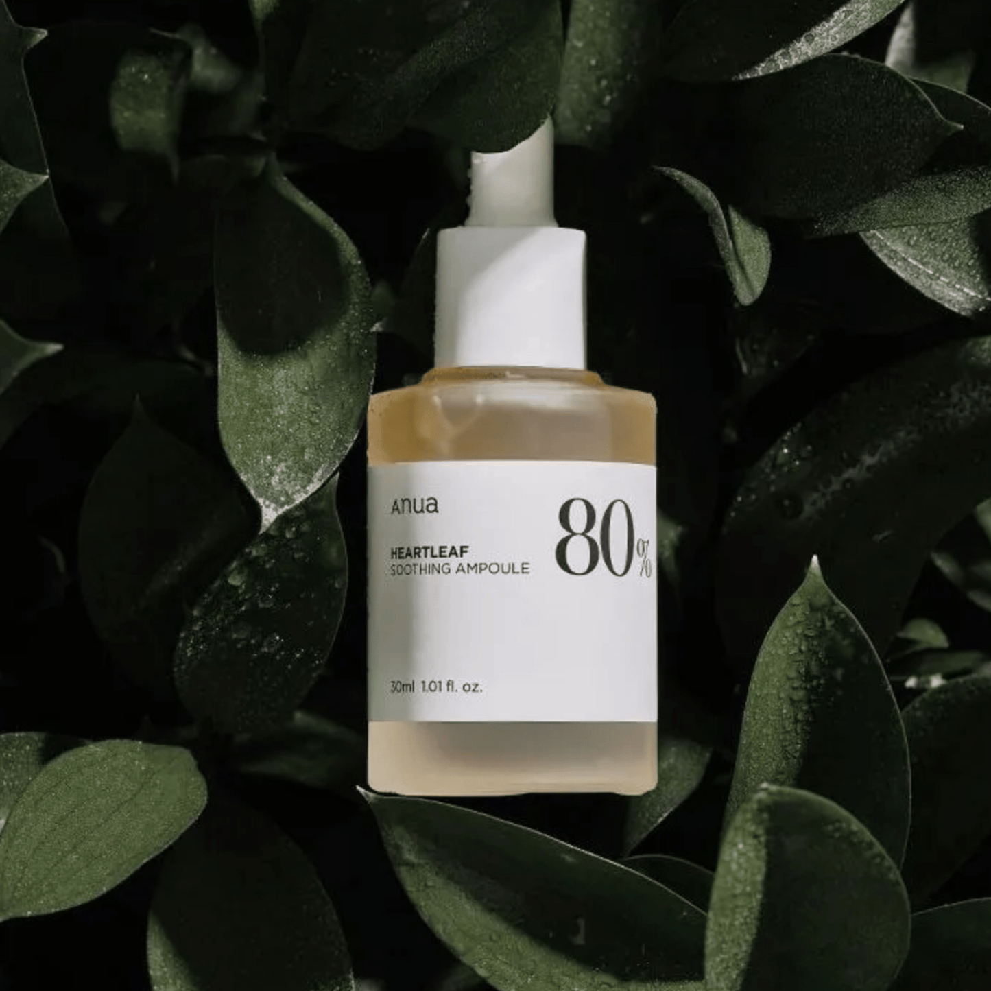 ANUA Ampoule ANUA Heartleaf 80% Soothing Ampoule 30ml