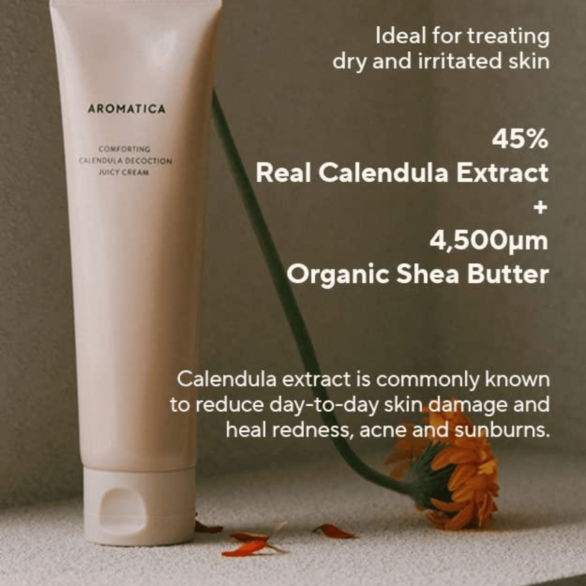 AROMATICA Cream 150ml AROMATICA Comforting Calendula Decoction Juicy Cream