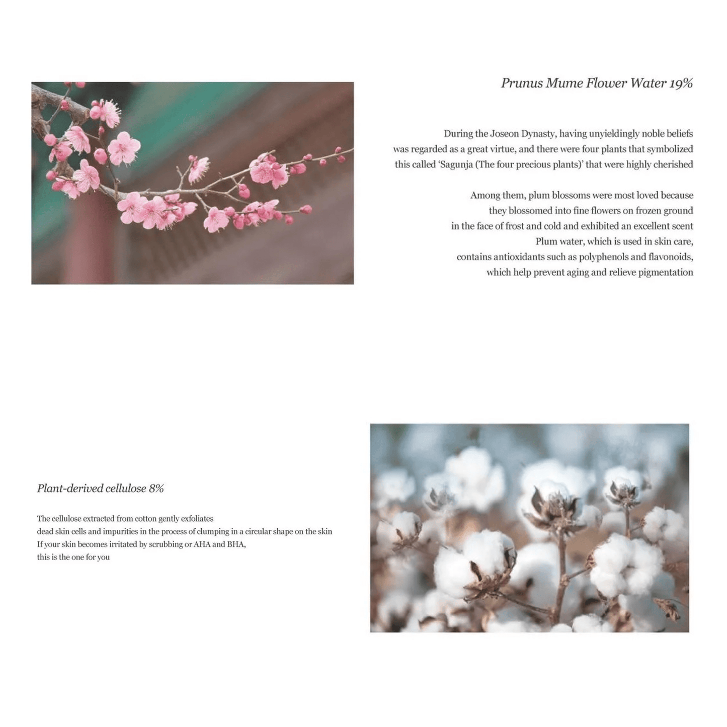 BEAUTY OF JOSEON Peeling gel BEAUTY OF JOSEON Apricot Blossom Peeling Gel 100ml