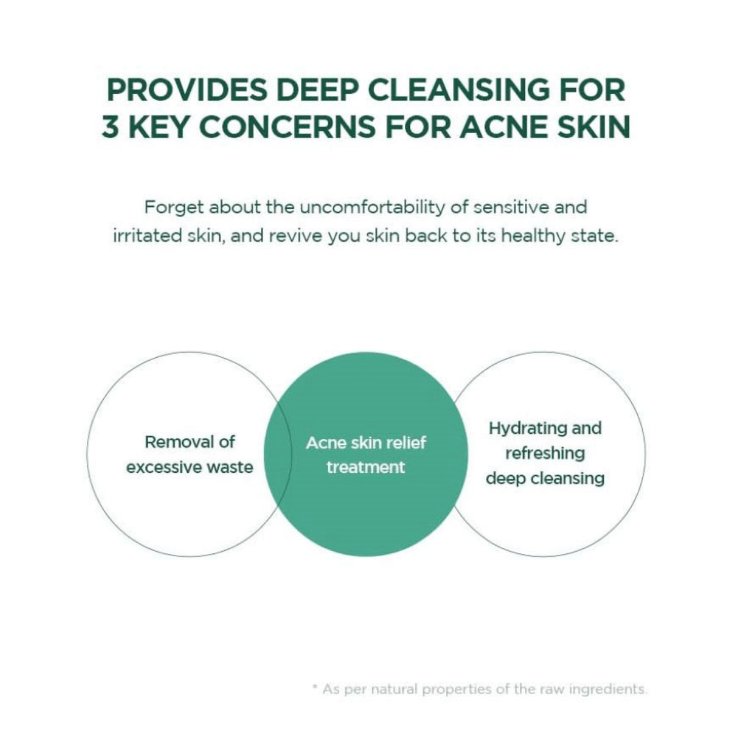 SKIN1004 Cleansing foam SKIN1004 Madagascar Centella Tea-Trica BHA Foam 125ml