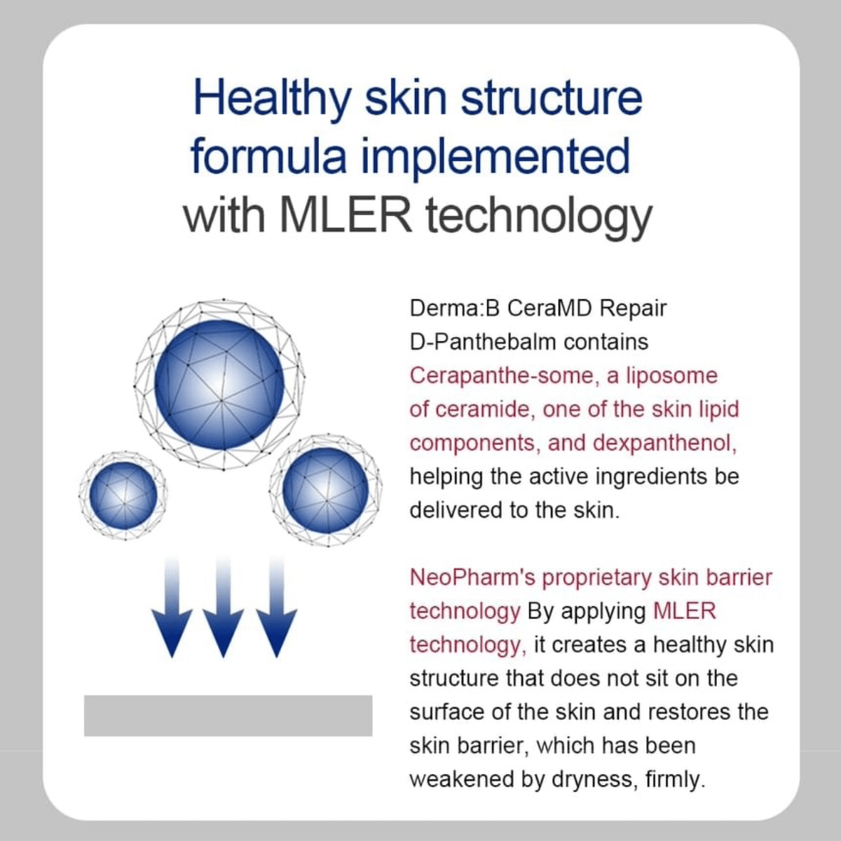 DERMA: B Cream 50ml DERMA: B CeraMD Repair D-Panthebalm