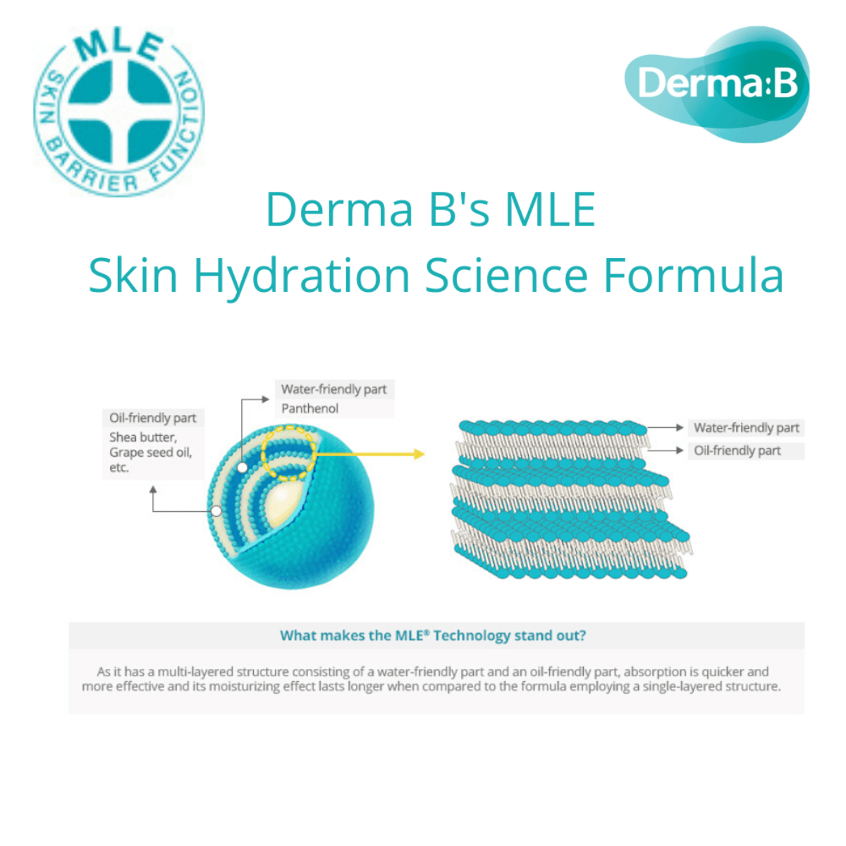 DERMA: B Body Wash 400ml DERMA: B Creamy Touch Body Wash