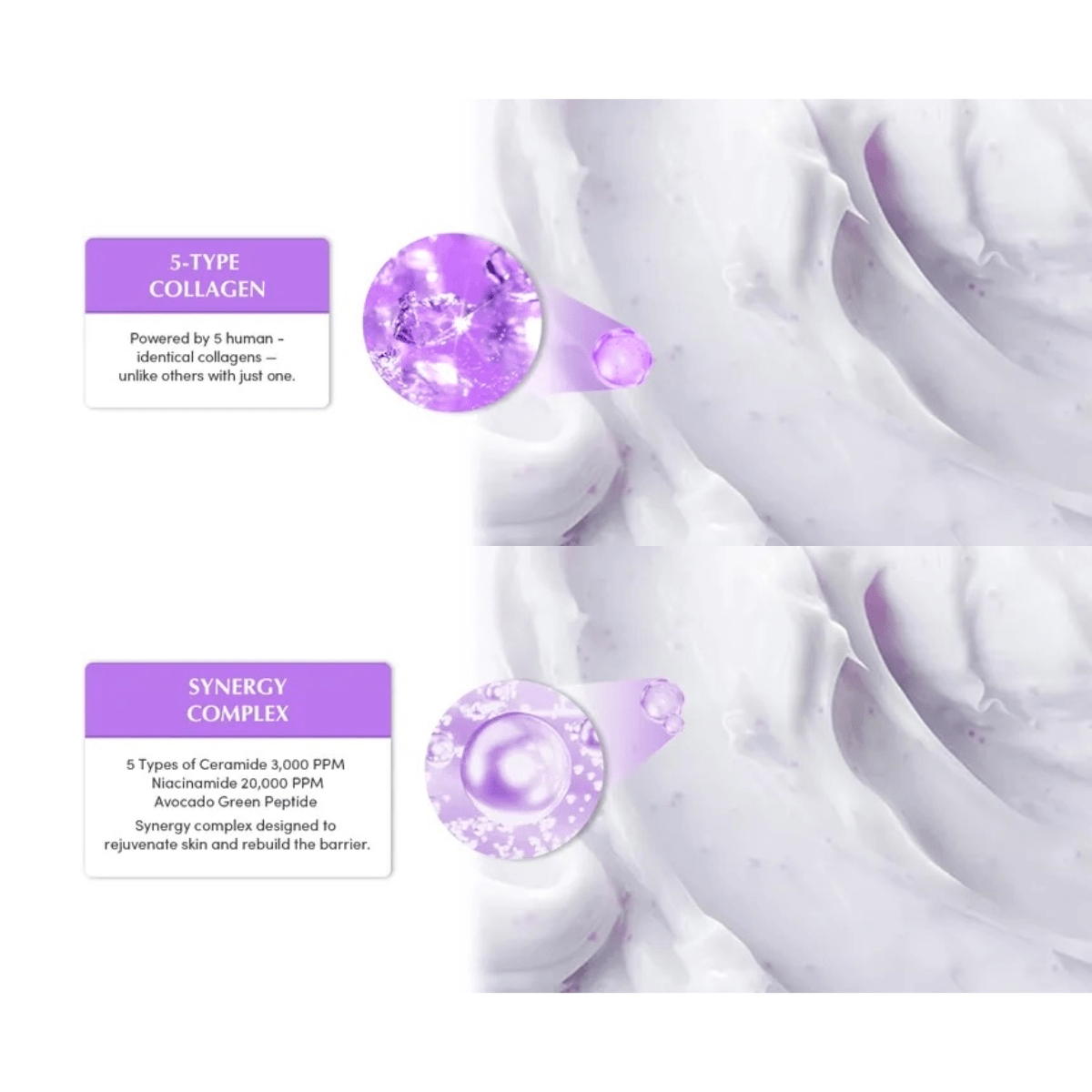 EQQUALBERRY Cream 50ml EQQUALBERRY Bakuchiol Plumping Capsule Cream