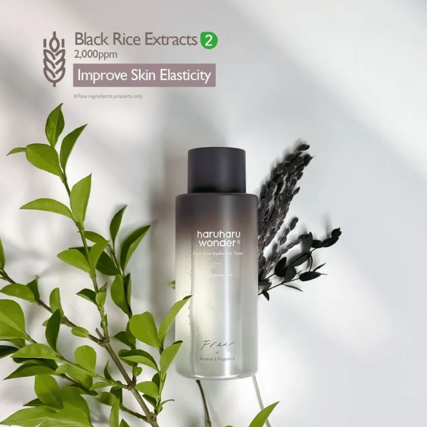 HARUHARU WONDER Toner HARUHARU WONDER Black Rice Hyaluronic Toner Fragrance Free