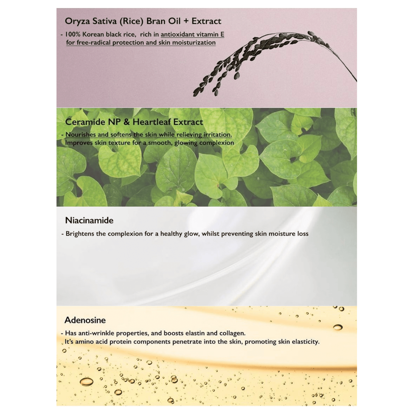 HARUHARU WONDER Sunscreen HARUHARU WONDER Black Rice Moisture Airyfit Sunscreen 50ml