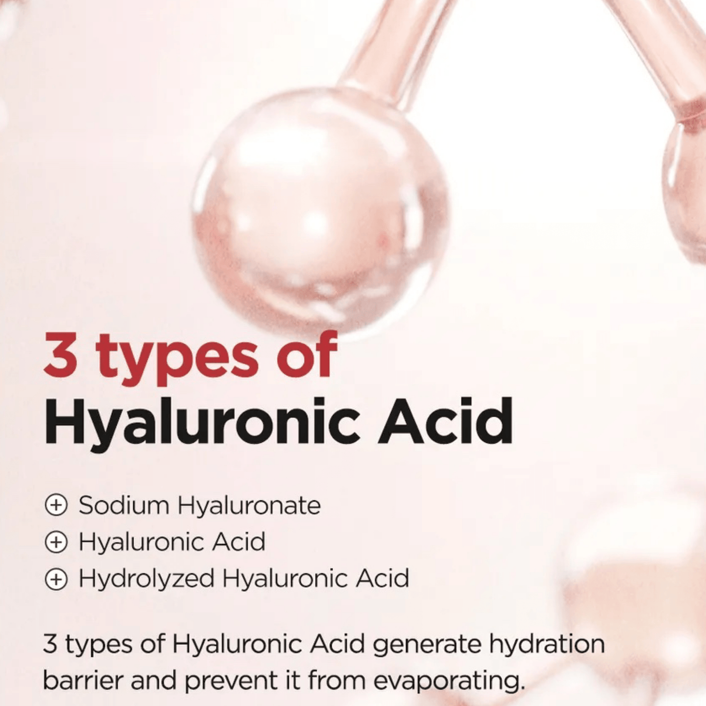 ISNTREE Essence ISNTREE Chestnut BHA 2% Clear Liquid 100ml