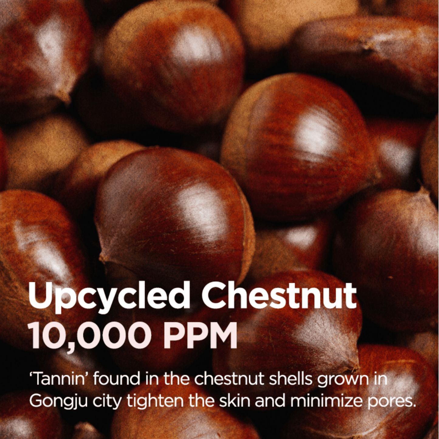 ISNTREE Cleanser ISNTREE Chestnut LHA Jelly Cleansing Oil 150ml