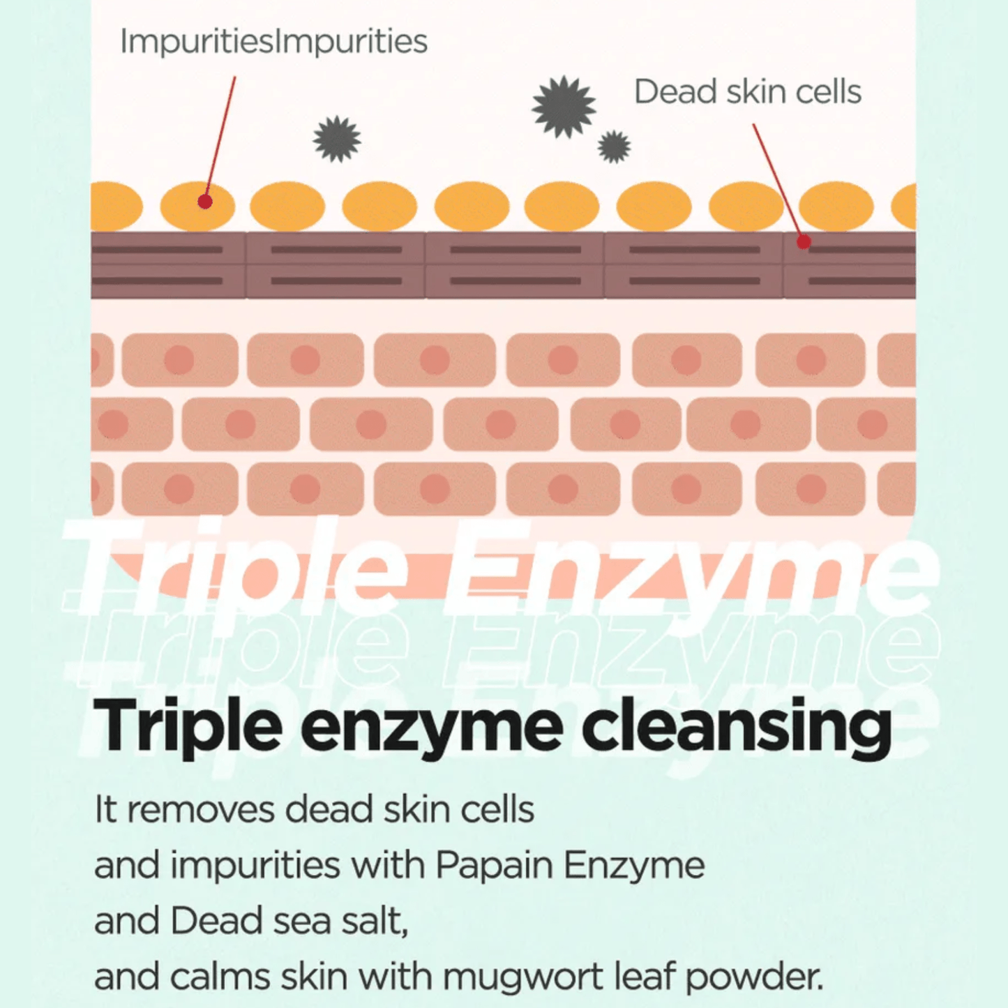 ISNTREE Enzyme powder ISNTREE Mugwort Calming Powder Wash 15g