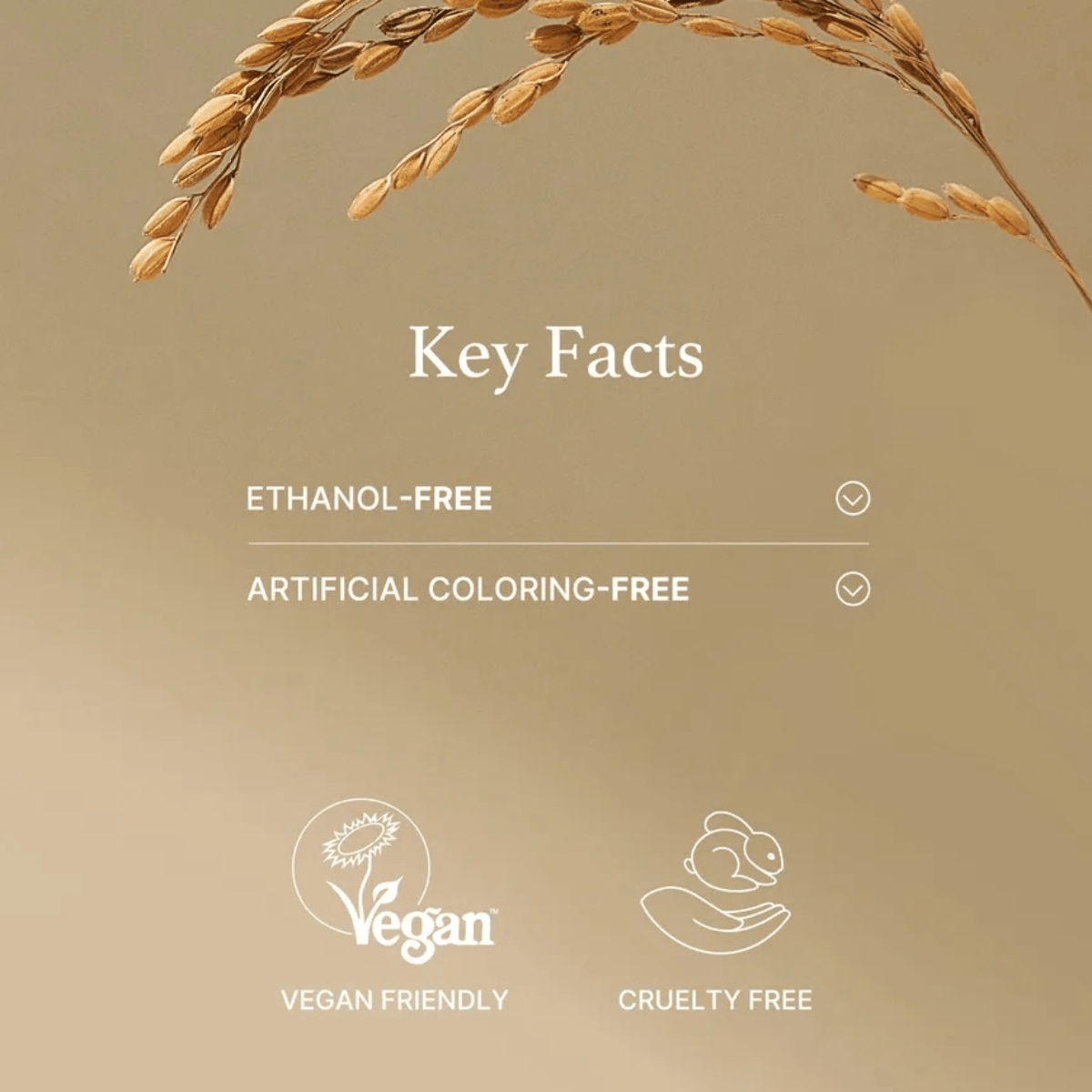 I'M FROM Wash Off Mask 110g I'M FROM Rice Mask