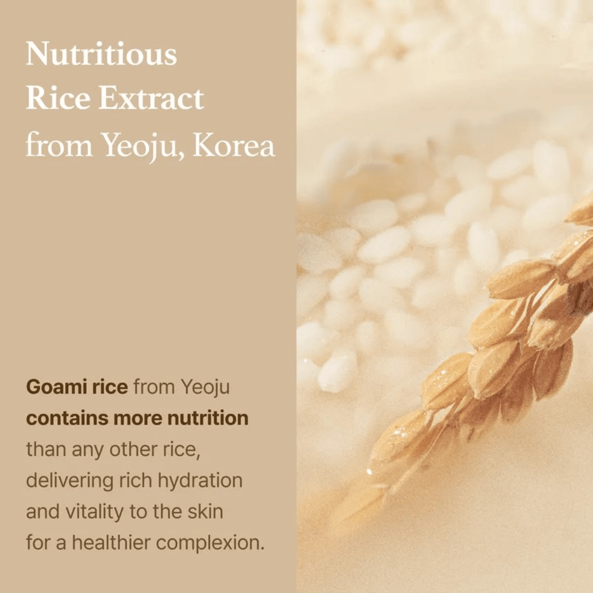 I'M FROM Toner 150ml I'M FROM Rice Toner