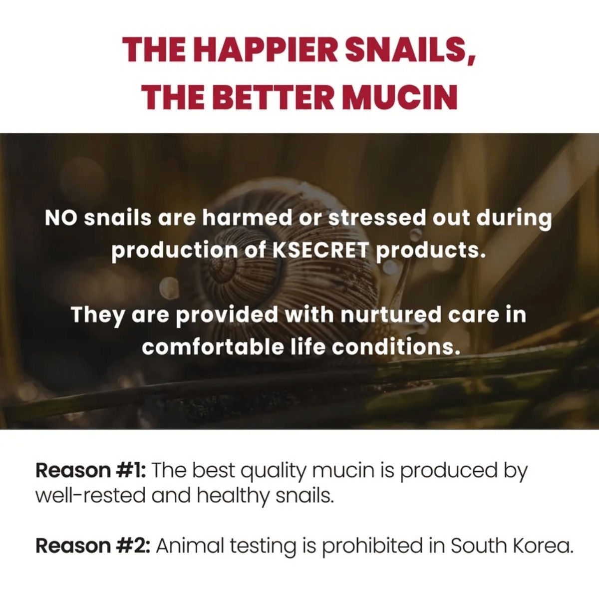 KSECRET Essence 100ml KSECRET SEOUL 1988 Essence : Snail Mucin 97% + Rice