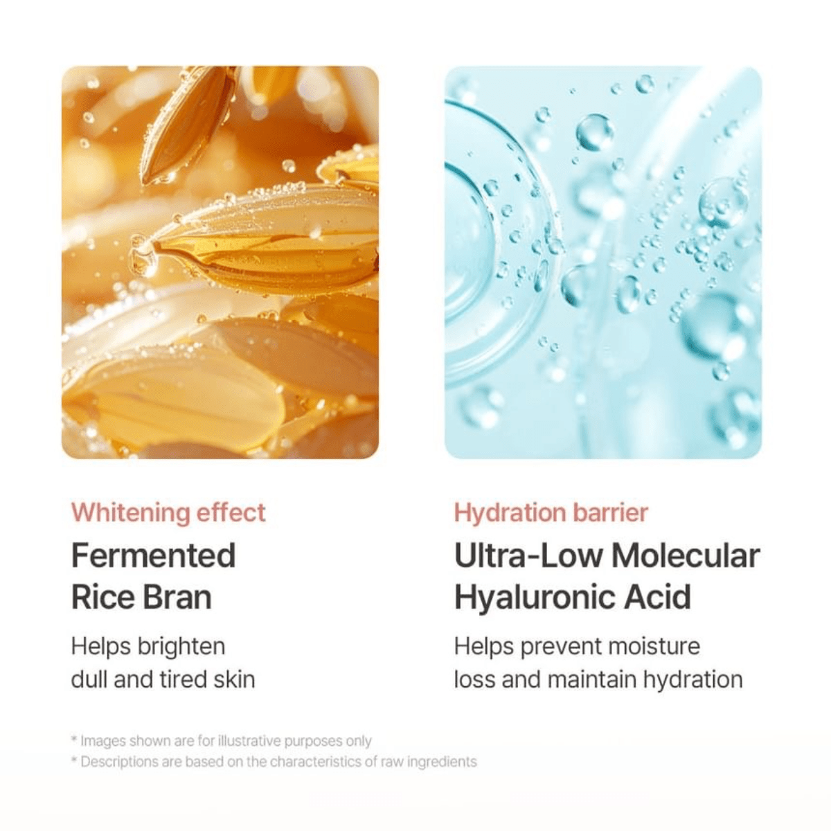 MIXSOON Cream 50ml MIXSOON PDRN Collagen Cream