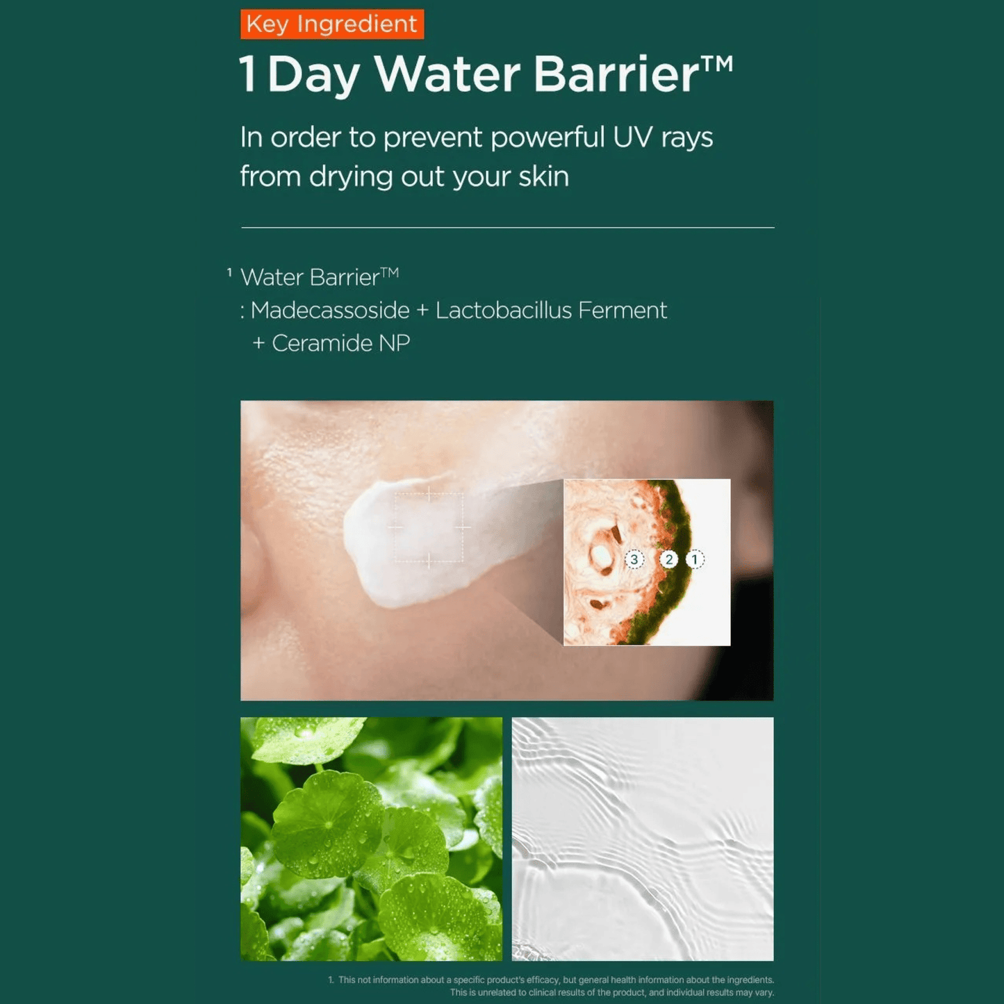 P.CALM Sunscreen P.CALM Water Barrier Sunscreen 50ml