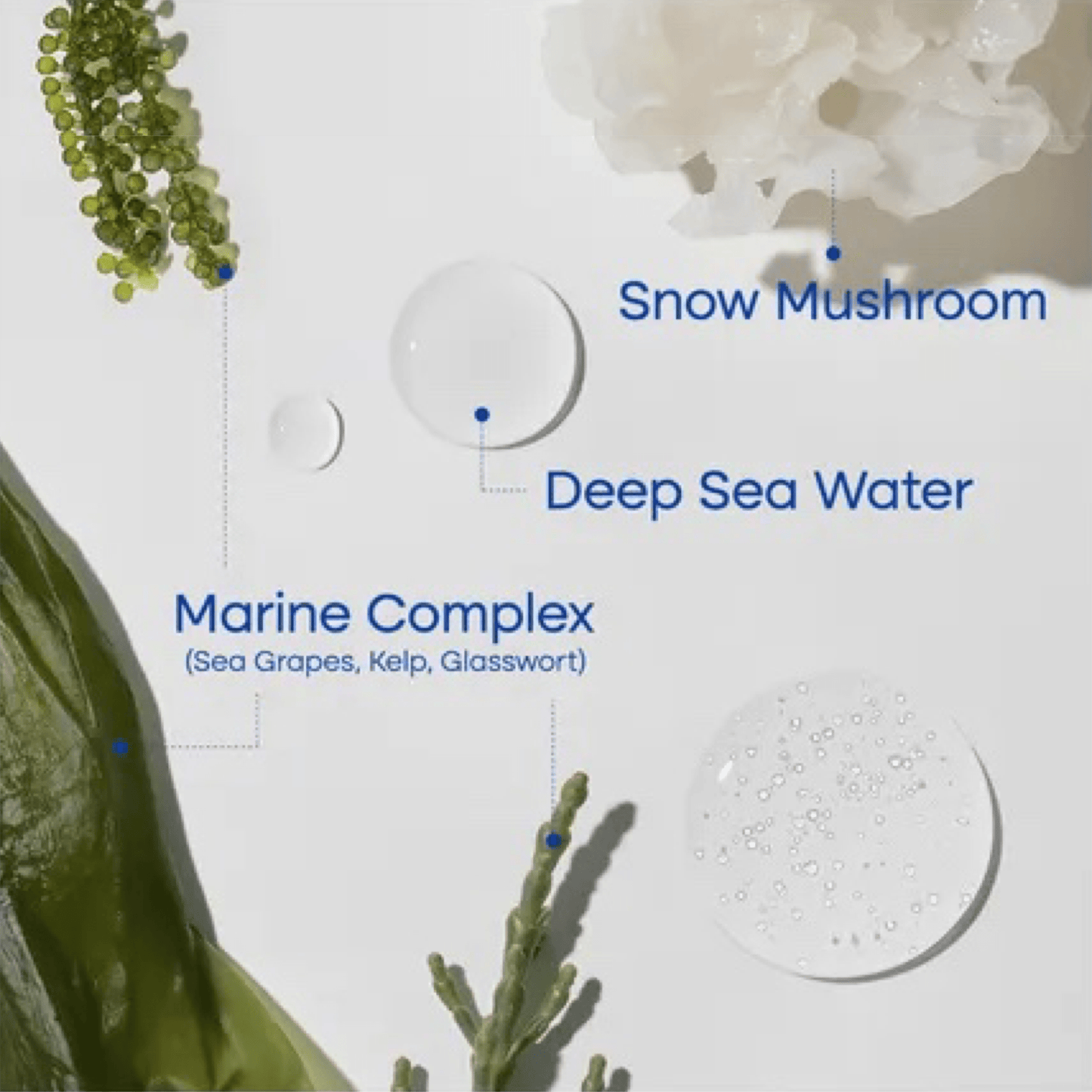 PURITO SEOUL Serum PURITO SEOUL Deep Sea Droplet Serum 30ml