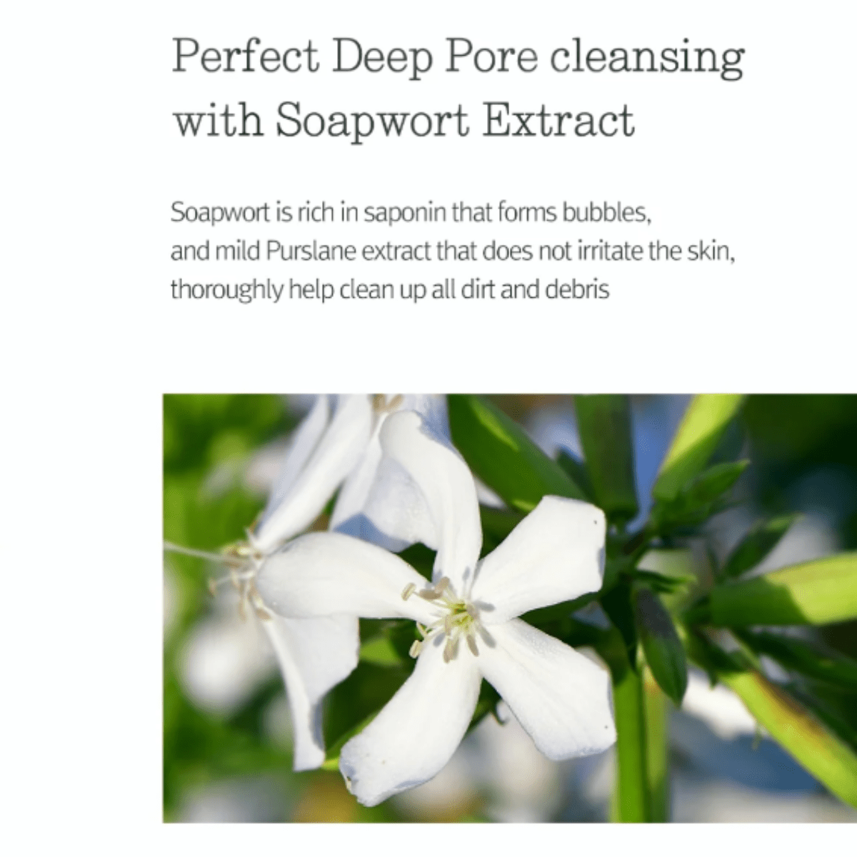 PYUNKANG YUL Cleansing Oil 290ml PYUNKANG YUL Deep Cleansing Oil