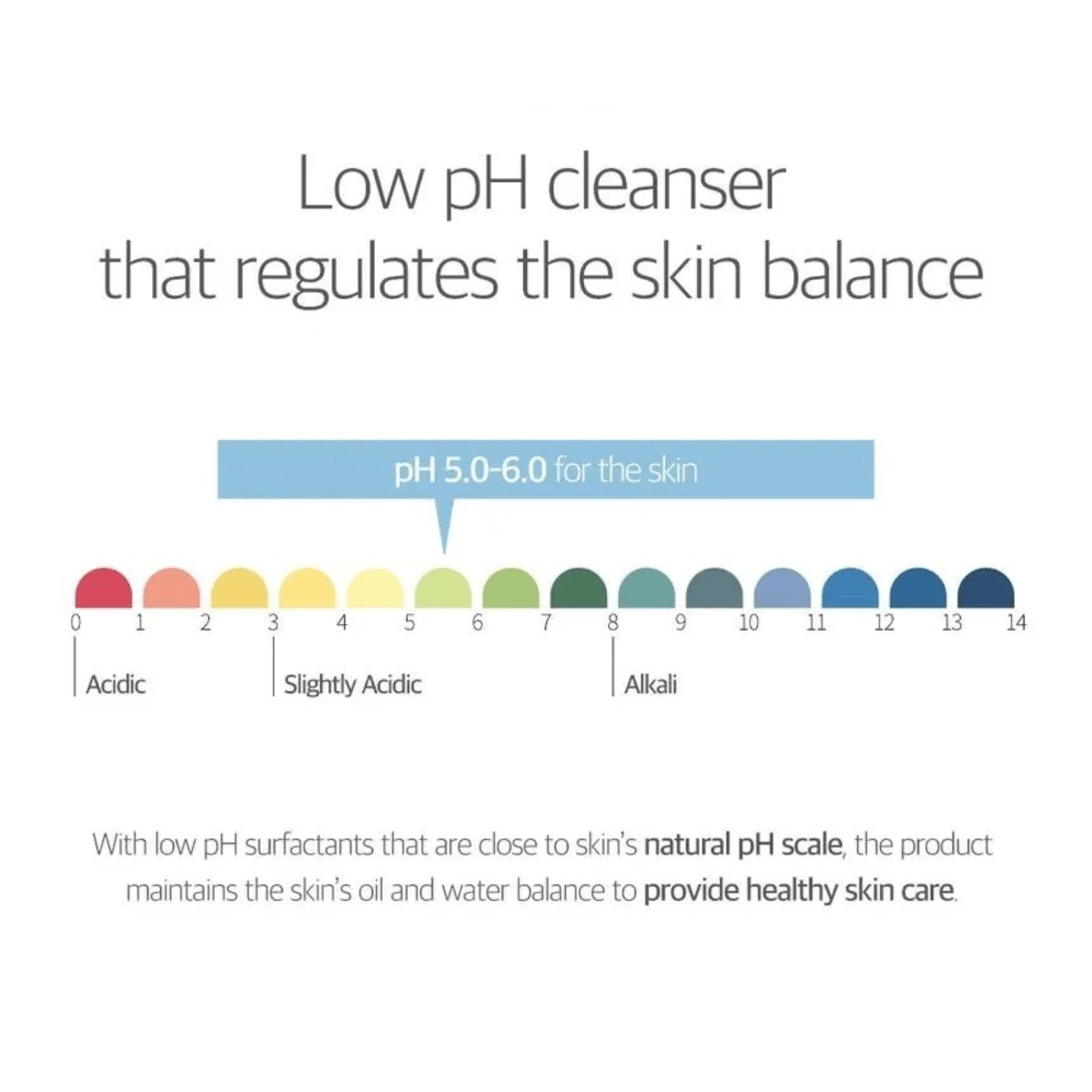 ROUND LAB Cleansing Foam 150ml ROUND LAB Birch Juice Moisturizing Cleanser