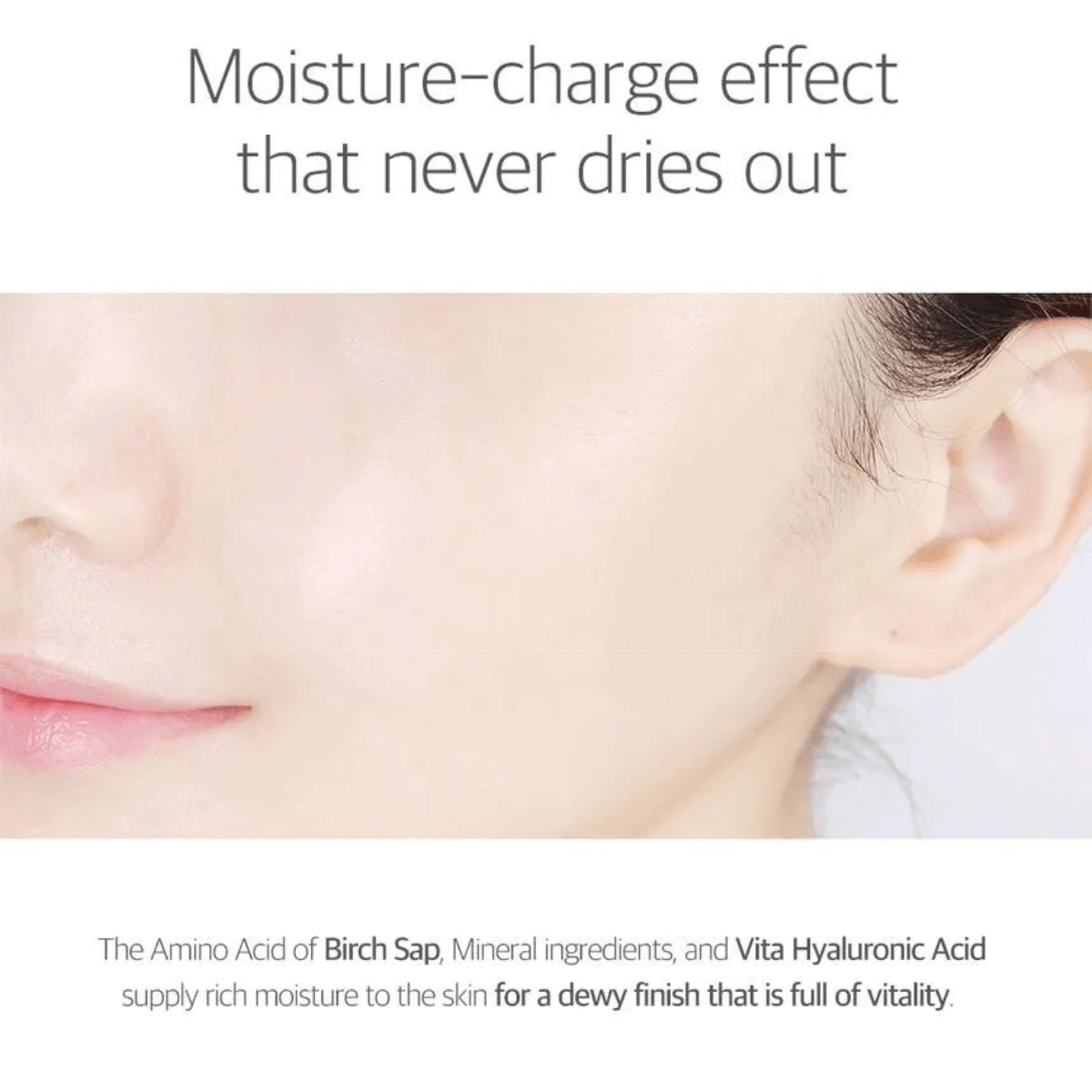 ROUND LAB Serum 50ml ROUND LAB Birch Juice Moisturizing Serum