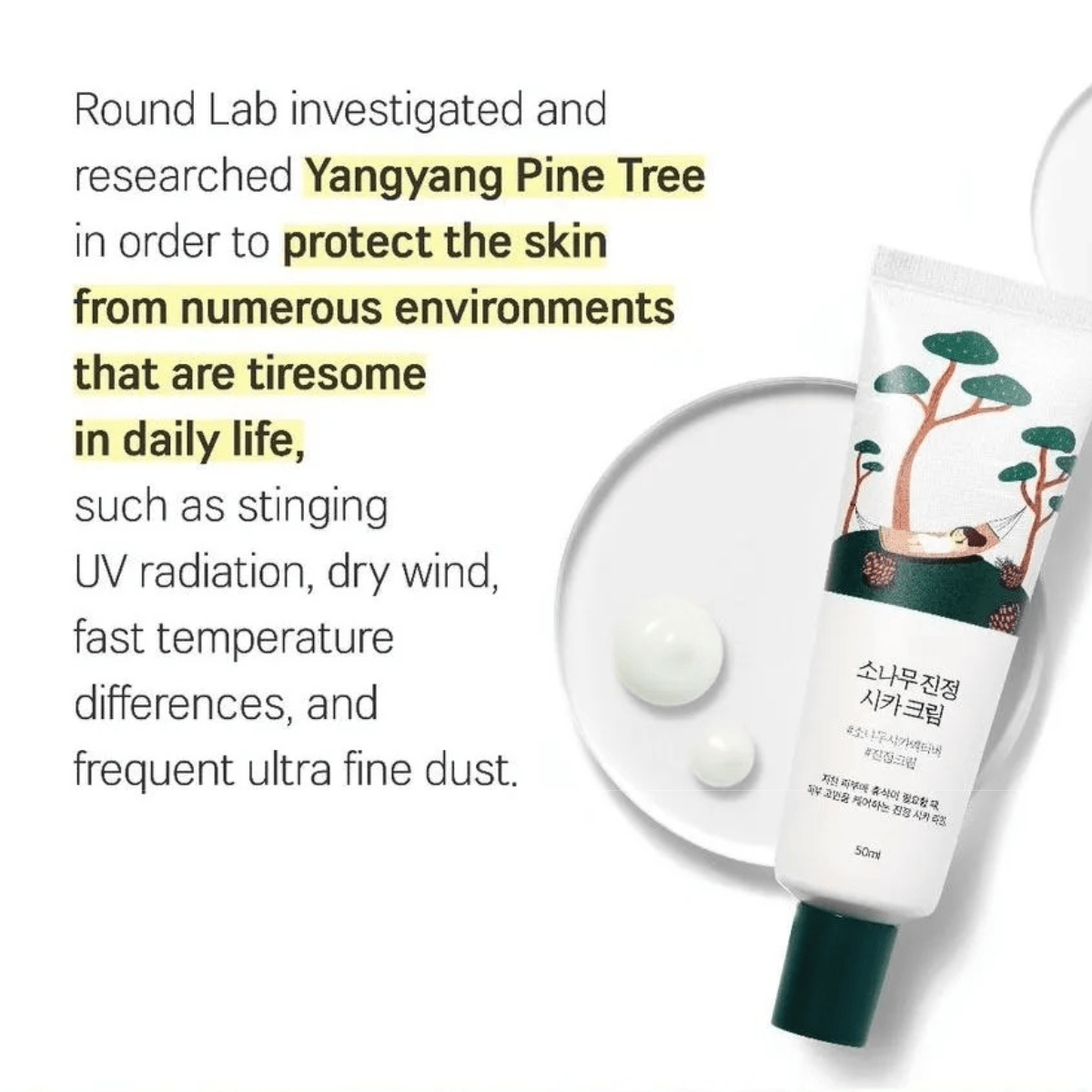 ROUND LAB Cream 50ml ROUND LAB Pine Calming Cica Cream