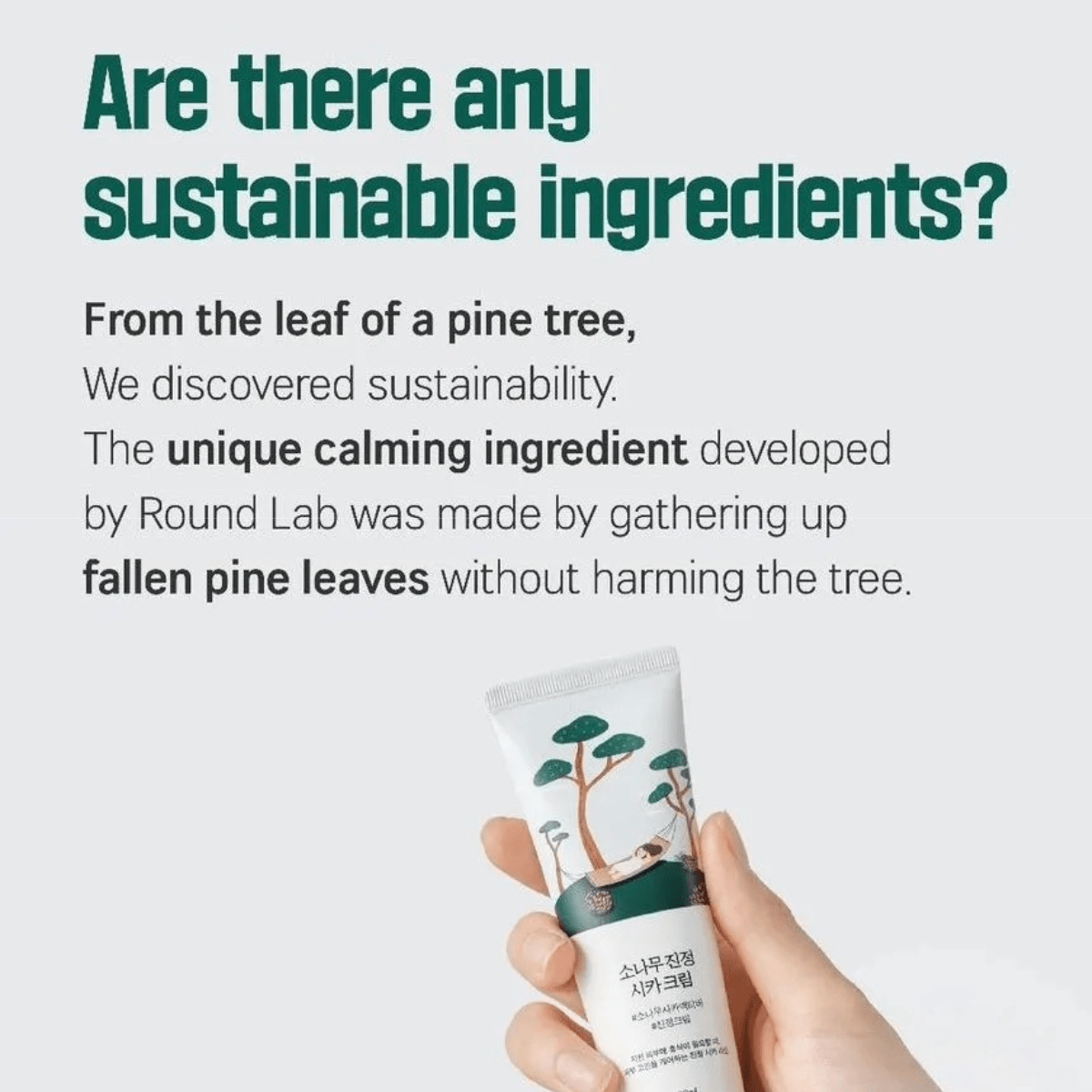 ROUND LAB Cream 50ml ROUND LAB Pine Calming Cica Cream