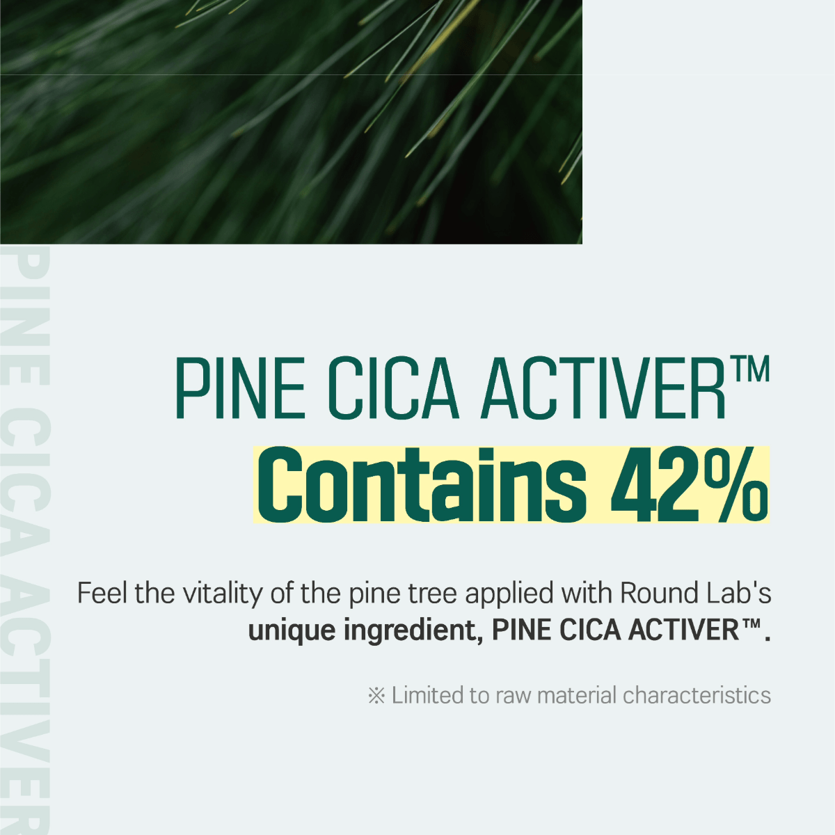 ROUND LAB Cream 50ml ROUND LAB Pine Calming Cica Cream