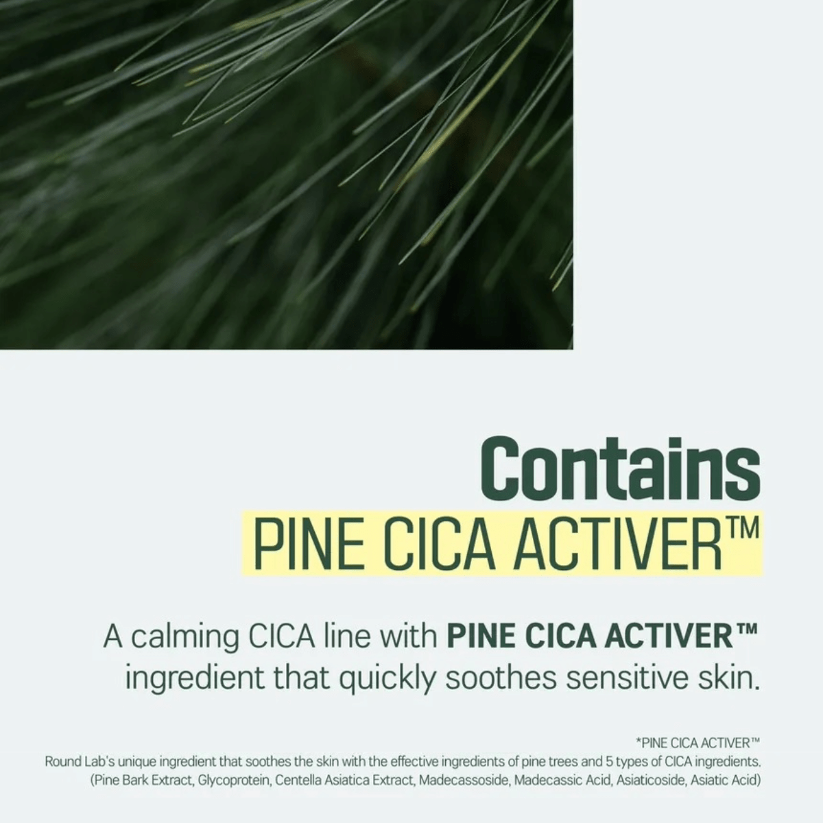 ROUND LAB Set ROUND LAB Pine Calming Cica Trial Kit