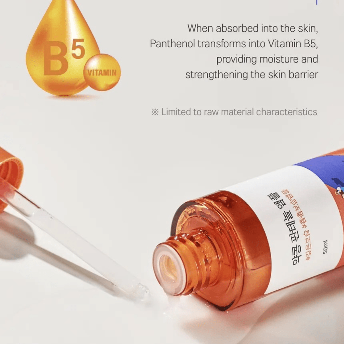 ROUND LAB Ampoule 50ml ROUND LAB Soybean Panthenol Ampoule
