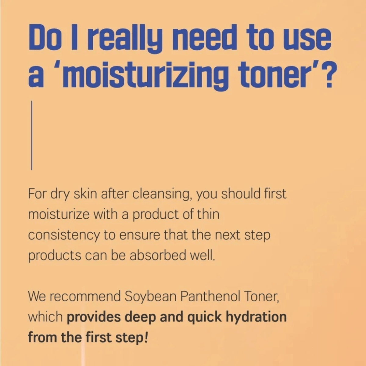 ROUND LAB Toner 250ml ROUND LAB Soybean Panthenol Toner