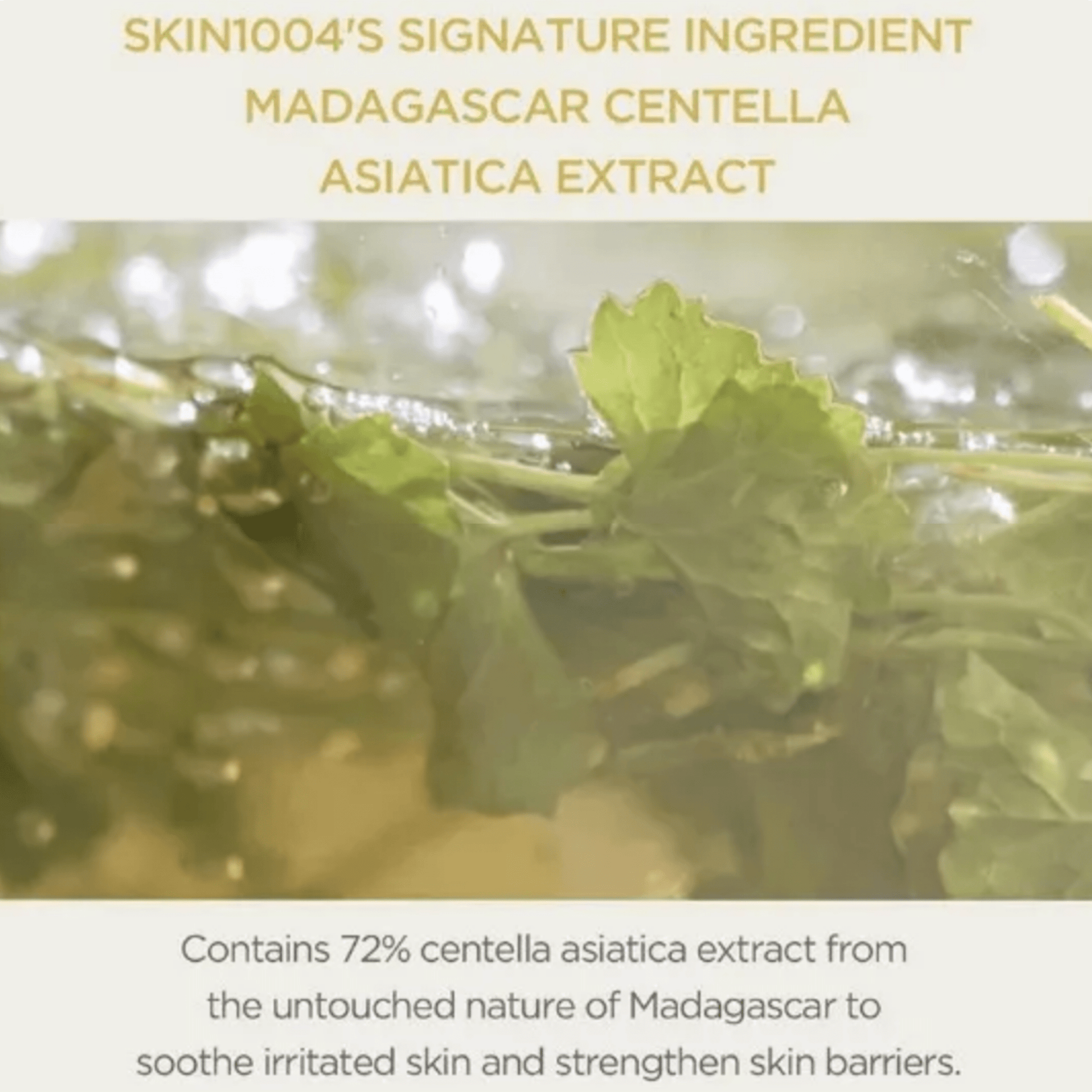 SKIN1004 Cream SKIN1004 Madagascar Centella Cream