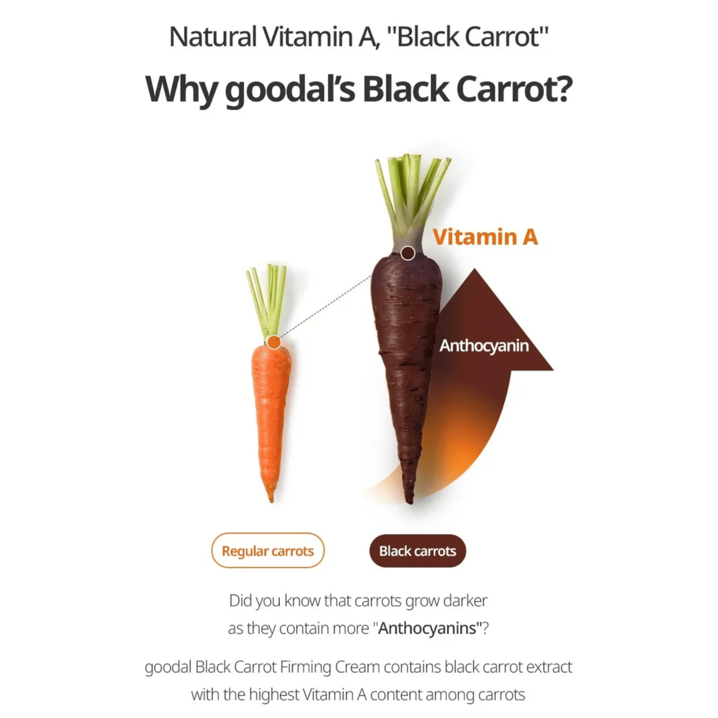 GOODAL Creams GOODAL Black Carrot Vita-A Retinol Firming Cream 50ml