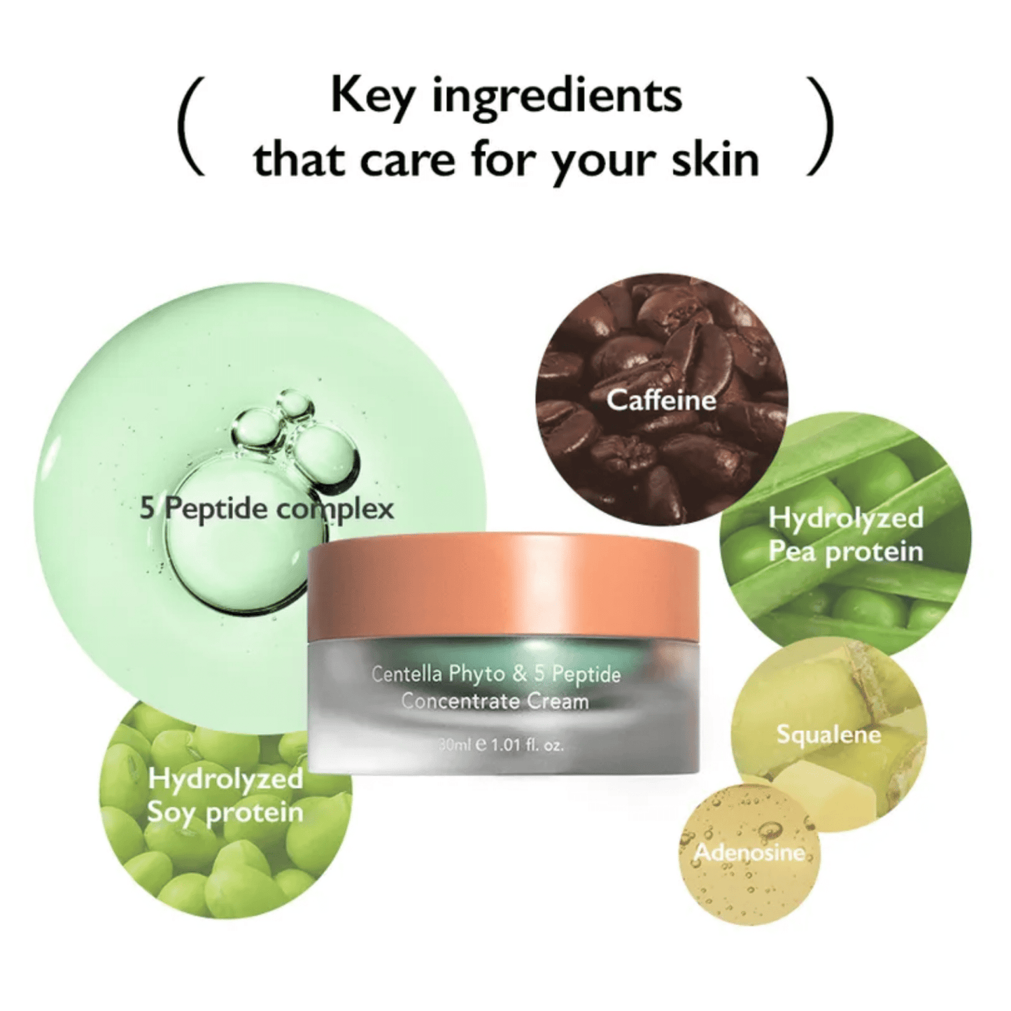 HARUHARU WONDER Cream 1 HARUHARU WONDER Centella Phyto & 5 Peptide Concentrate Cream