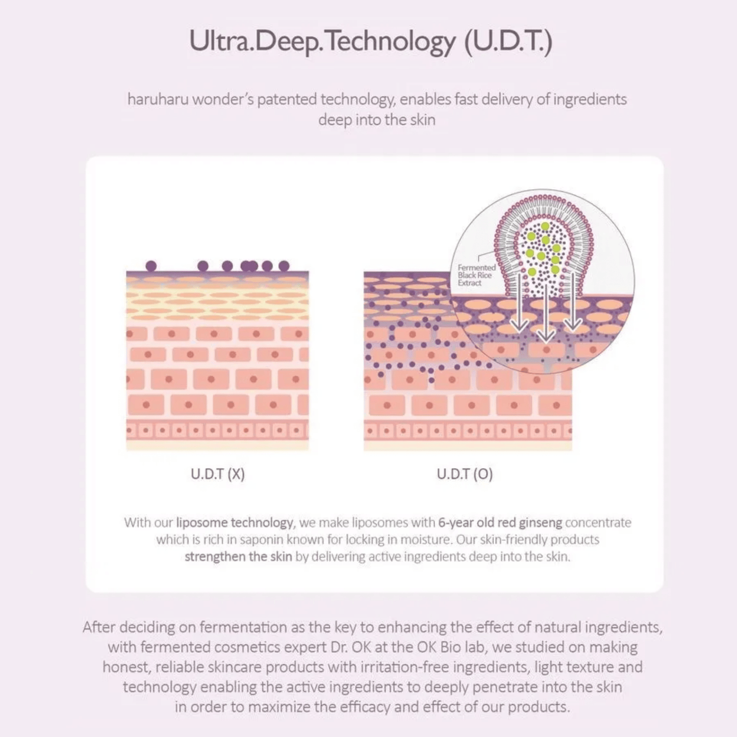 HARUHARU WONDER Toner HARUHARU WONDER Black Rice Hyaluronic Toner