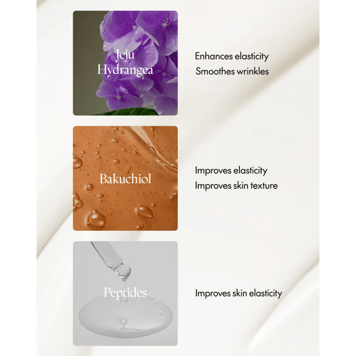 PURITO SEOUL Serum 30ml PURITO SEOUL Timeless Bloom Bakuchiol Serum