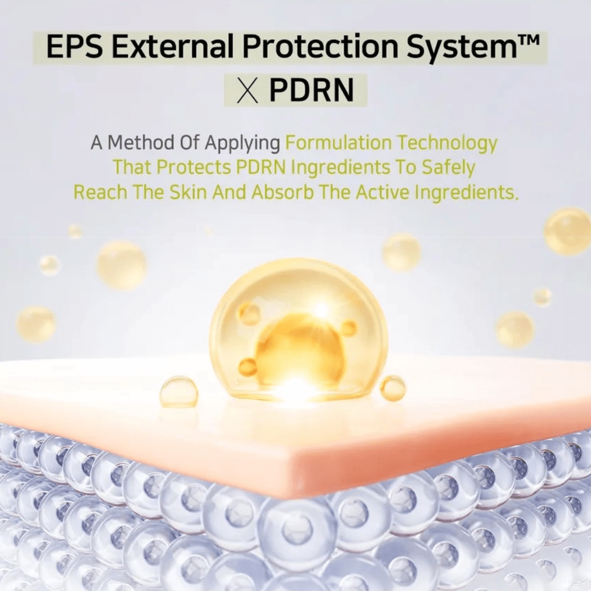 APLB Serum 40ml APLB PDRN Vitamin C Ampoule Serum