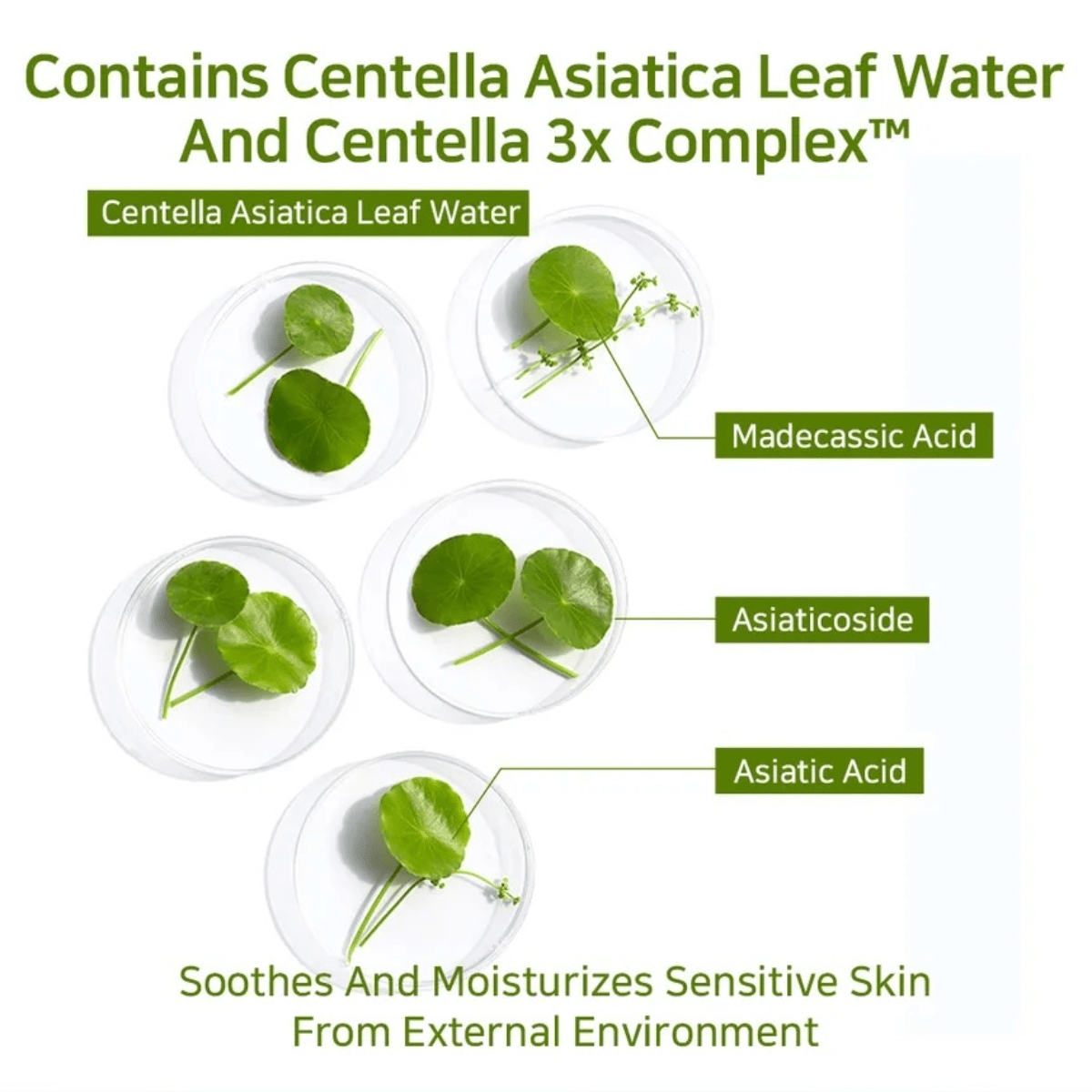 APLB Serum 40ml APLB PDRN Vitamin C Ampoule Serum