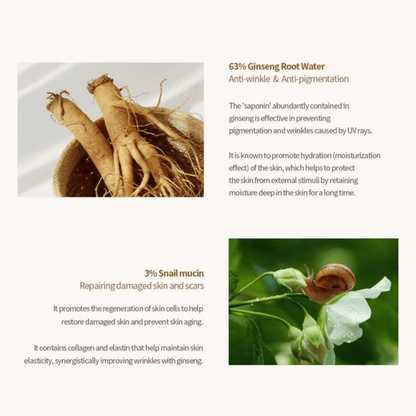 BEAUTY OF JOSEON Serum BEAUTY OF JOSEON Revive Serum: Ginseng + Snail Mucin 30ml