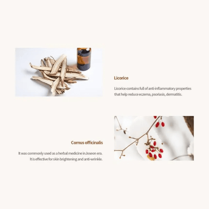 BEAUTY OF JOSEON Serum BEAUTY OF JOSEON Revive Serum: Ginseng + Snail Mucin 30ml