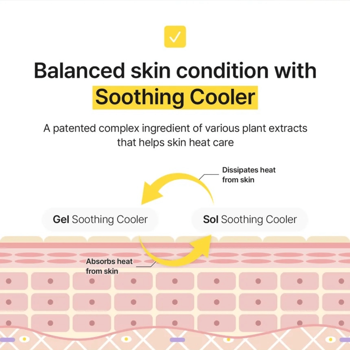 DEAR, KLAIRS Sunscreen 50ml DEAR, KLAIRS All-day Airy Sunscreen SPF50+ PA++++