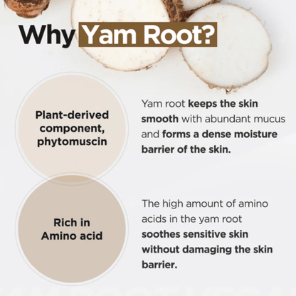 ISNTREE Cleanser ISNTREE Yam Root Vegan Milk Cleanser 220ml