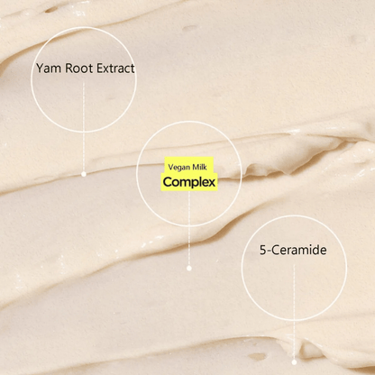 ISNTREE Cream ISNTREE Yam Root Vegan Milk Cream 80ml