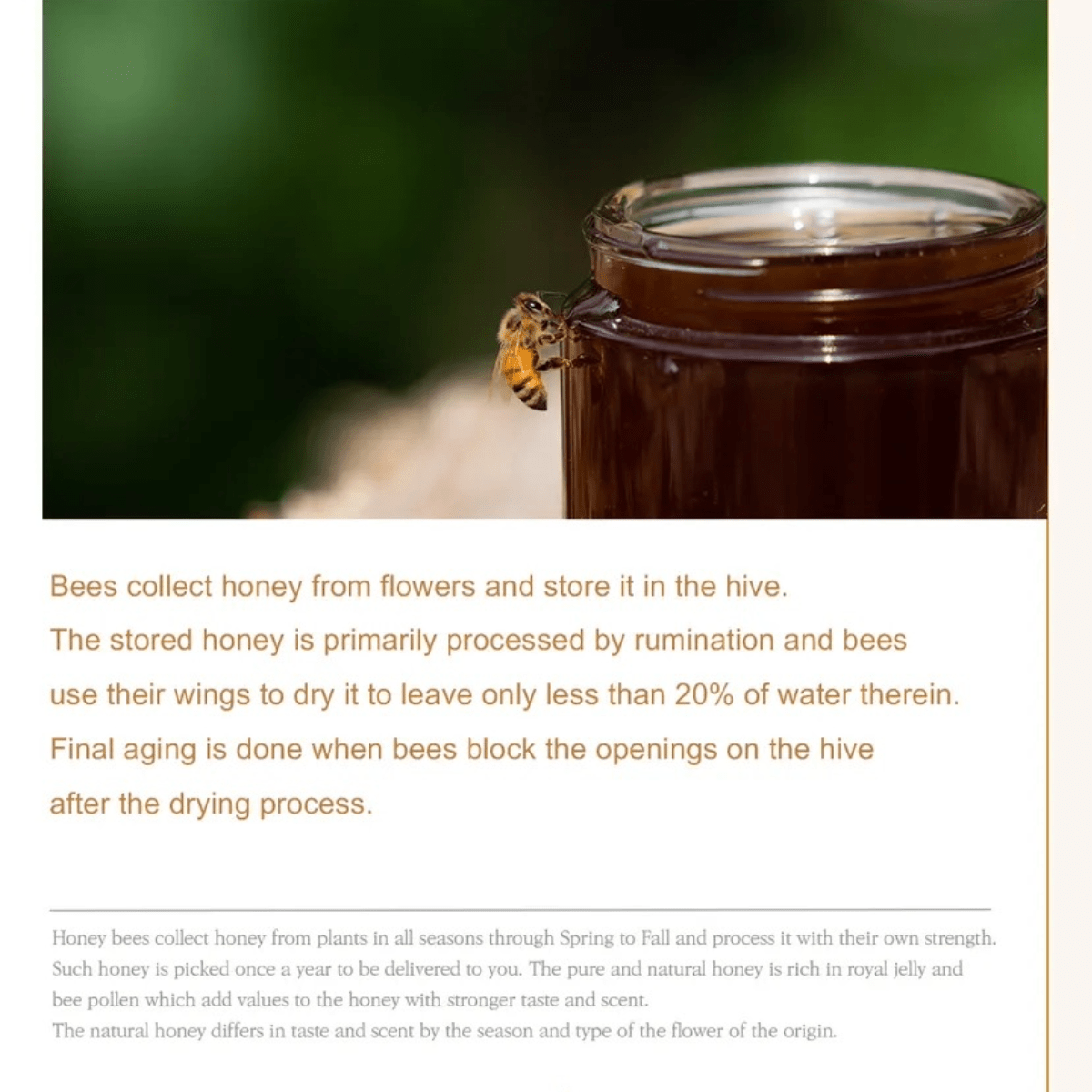 I'M FROM Serum 30ml I'M FROM Honey Glow Serum