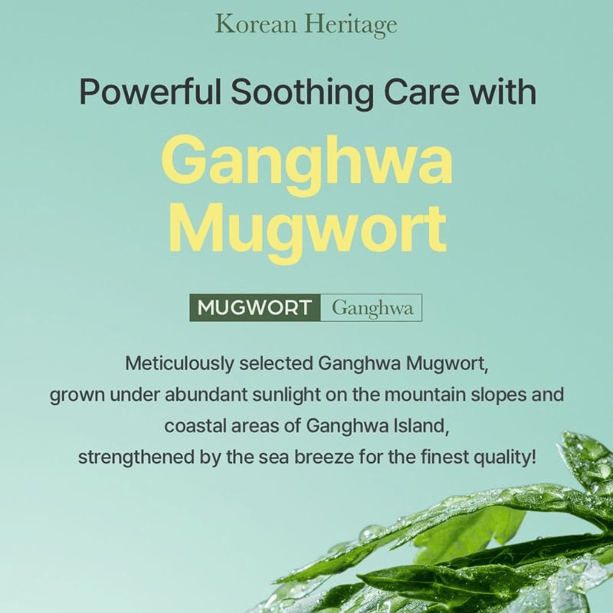 I'M FROM Essence 150ml I'M FROM Mugwort Essence