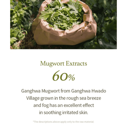 I'M FROM Cleansing Gel 150ml I'M FROM Mugwort Gel Cleanser