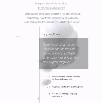 I'M FROM Wash Off Mask 110g I'M FROM Mugwort Mask