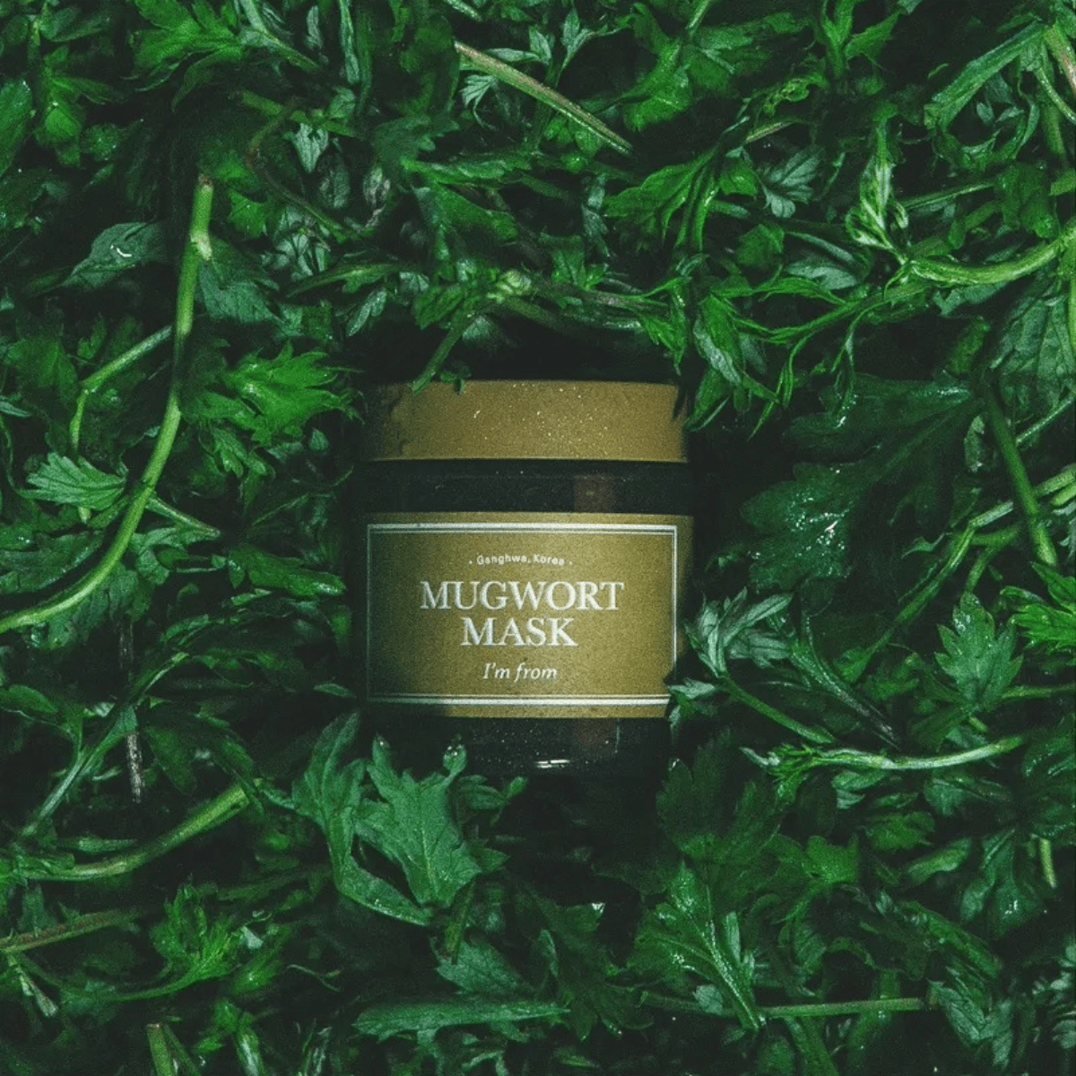 I'M FROM Wash Off Mask 110g I'M FROM Mugwort Mask