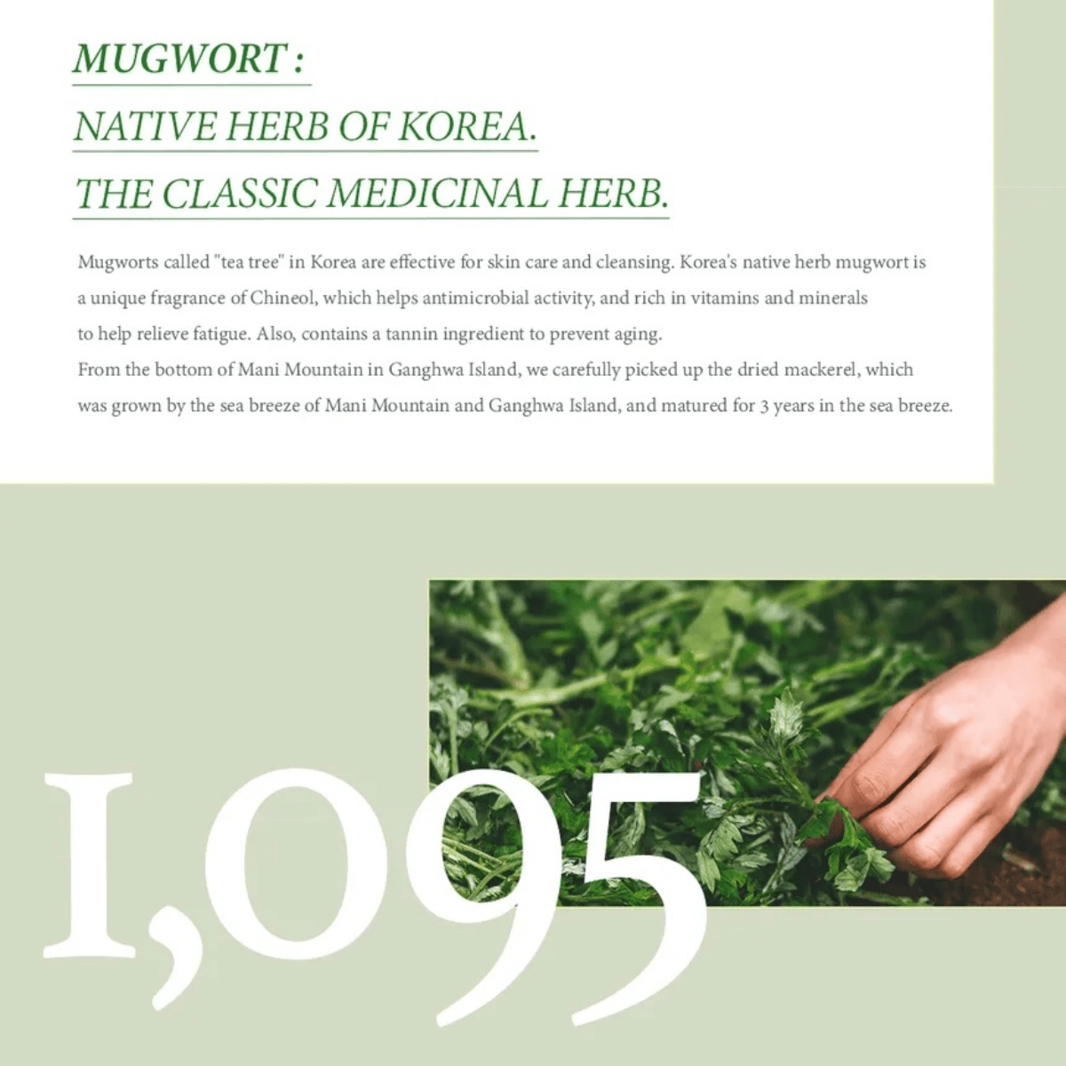 I'M FROM Wash Off Mask 110g I'M FROM Mugwort Mask