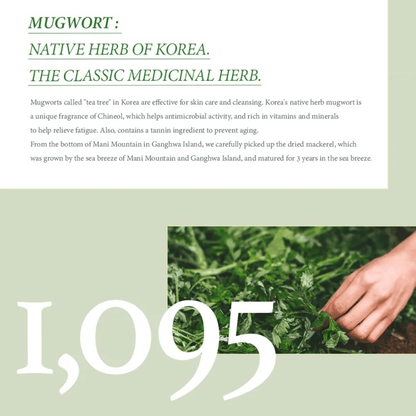 I'M FROM Wash Off Mask 110g I'M FROM Mugwort Mask