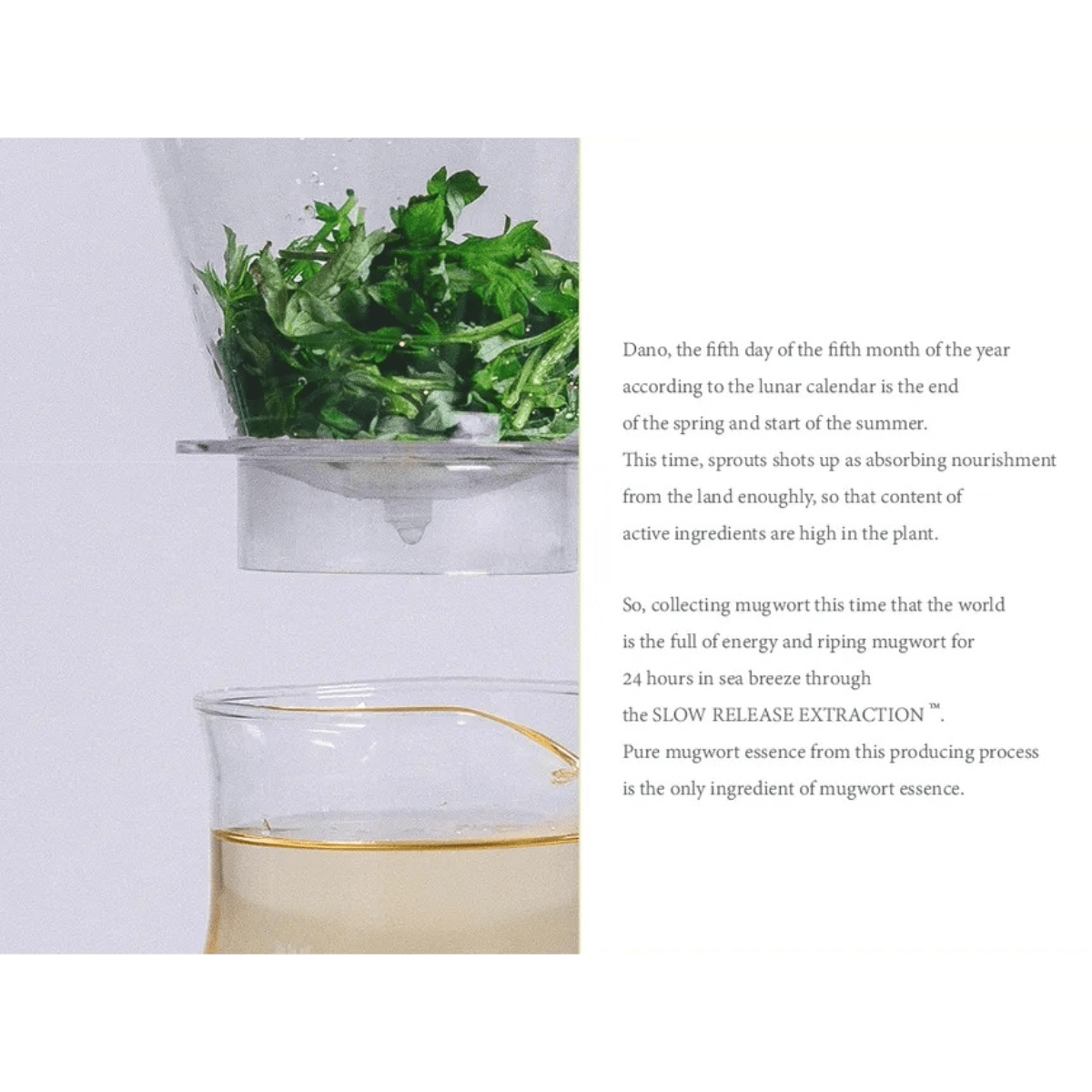 I'M FROM Wash Off Mask 110g I'M FROM Mugwort Mask