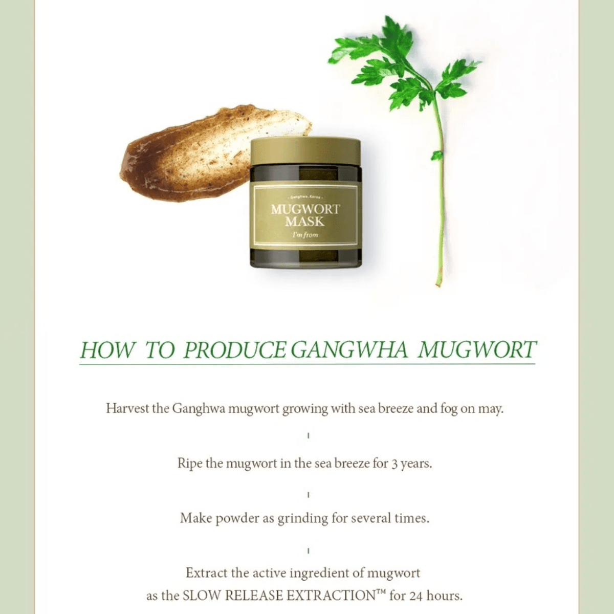 I'M FROM Wash Off Mask 110g I'M FROM Mugwort Mask