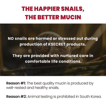 KSECRET Essence 100ml KSECRET SEOUL 1988 Essence : Snail Mucin 97% + Rice
